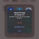 지영미트 이미지