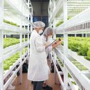 가야축산유통 이미지