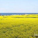 호미곶경관영농조합법인 이미지