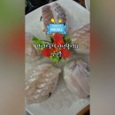 클램 | 동해 맛집 돌고래횟집 망상해수욕장이 코 앞이네