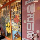 부천애견호텔 멍미텔 | [부천애견호텔 멍미텔] 우리 댕댕이, 럭셔리 휴가 보내기!