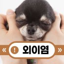 미사동물병원 이미지