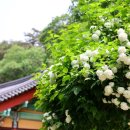 삶-풍경…愛 Daum카페
