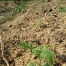 이종섭의 한우농장 이미지