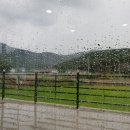 아라애쌈밥 이미지