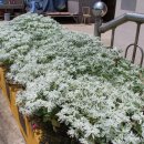 문덕2리마을회관 이미지