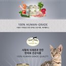 캣 팰리스 이미지