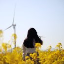 신박기획 | 신박한 제주도 관광버스 대절 예약 방법 그리고 만족했던 꿀팁 후기