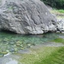 명당옥수 이미지