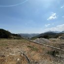 가야면사무소 이미지