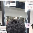 단아헤어뷰
