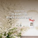 이베리스 | 하객들이 먼저 알아보는 밥 맛있는 예식장, 메리다 이베리스홀 계약 후기