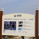 섬진강변 그라운드골프장(테니스장) | 남파랑길47코스(남해대교~하동송림공원)27.5km