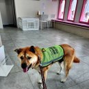 표선동물병원 이미지