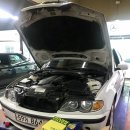 GTSM | 일산 샤크합성유 교환 전문점 - GTSM