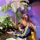 건영무궁화유치원 이미지