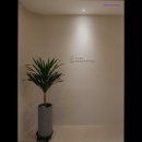 마음의정원 정신건강의학과의원 | [성남 판교 판교신도시 정신병원 추천!] 마음정원 정신건강의학과의원 정신건강의 전문성