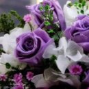 당신이 좋아요