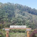 힐링캠핑장 | 가을캠 맛집 공주 동학사 힐링 캠핑장 (C1 후기)