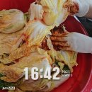 생애 첫 10km 대회 참가