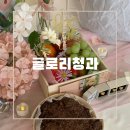애플망고청과 | 의정부 돌잔치 과일 준비 :: 글로리청과 포유프룻박스 내돈내산 후기