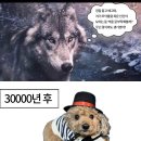 투다리죽림점 - 통영시 | 202505 일상