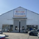 알뜰청과 | 구정 2주 전! 안양농수산물도매시장 설날 장보기 사전 답사 후기🍎 (과일/축산/수산/꿀팁)