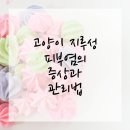 함께하는 동물병원 이미지