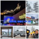 [정동진1박2일] 겨울 가족여행을 썬크루즈 호텔에서...(선자령/국민의숲 설경은 덤/여행팁/내돈내산)