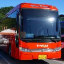 푸른솔관광 이미지