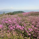 합천 모산재/황매산철쭉군락지 산행 이미지