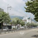 허당로 부울경뉴스