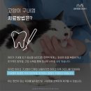 금릉동물의료센터 이미지