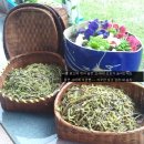 고사리민박 이미지