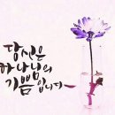 본향 이미지