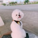 청라공감동물병원 이미지
