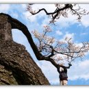 김해건설공업고등학교 이미지