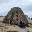 대건종합환경