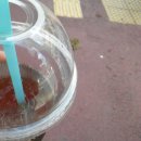 학우사 앞 이미지