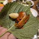 이모곰장어 이미지