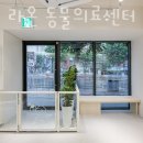 신월라온동물의료센터 이미지