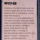 무릉도원 | 구례 무릉도원평상 계곡 후기｜애견동반, 취사가능한 여름 피서지 추천!