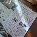 제주해양동물박물관 | 제주 아이와 가볼만한 곳 성산 '제주해양동물박물관' 솔직 후기(비오는날 추천, 반려동물 동반가능)