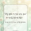 (주)아나이스 이미지