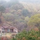 구학농장 네이버블로그