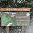 달성우체국 이미지