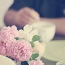 따스한봄날 이미지