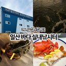 문봉낚시터 | 24시간 실내바다낚시카페 잡은 건 회센터에서 바로 손질! 일산바다실내낚시터 문봉동