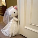 A:IN | W. 베뉴｜A Wedding in Heaven 시그니엘 서울 웨딩홀 투어 후기