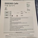 도그365 | [분당 애견카페] 멤버십 폐지된 첫 주말 도그 365 방문 후기